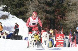 San Bernardino 2008